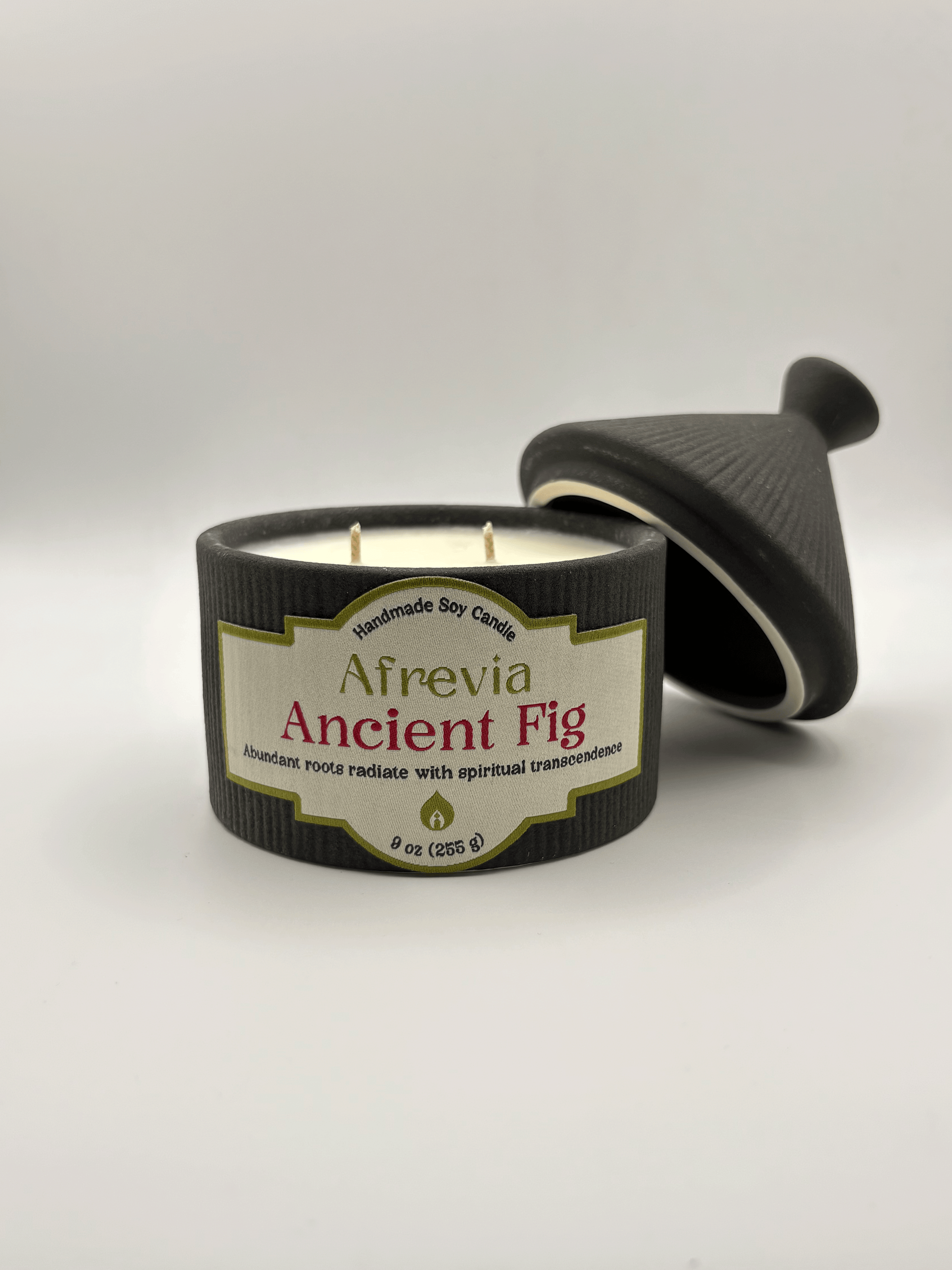 Ancient Fig